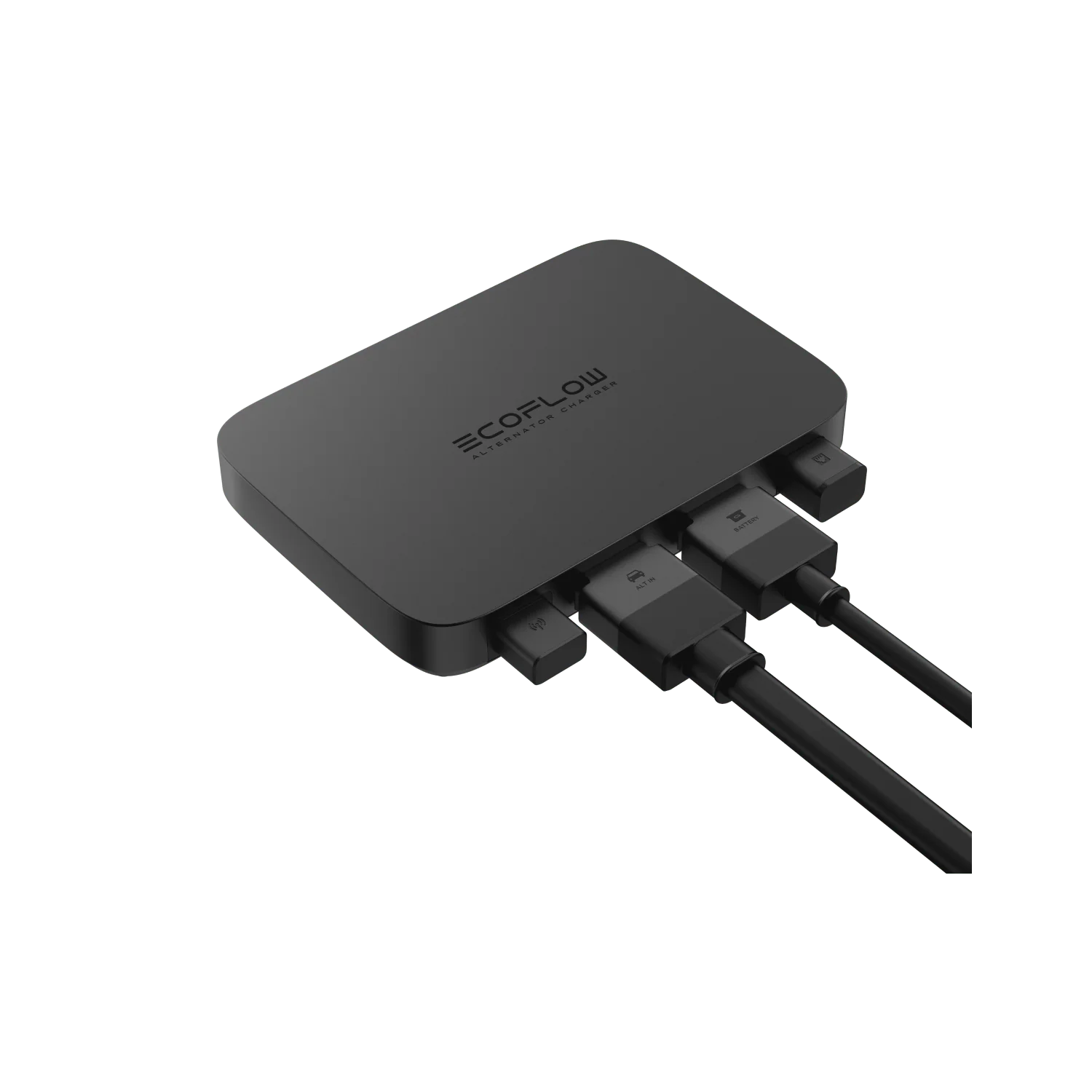 Miniatura 10