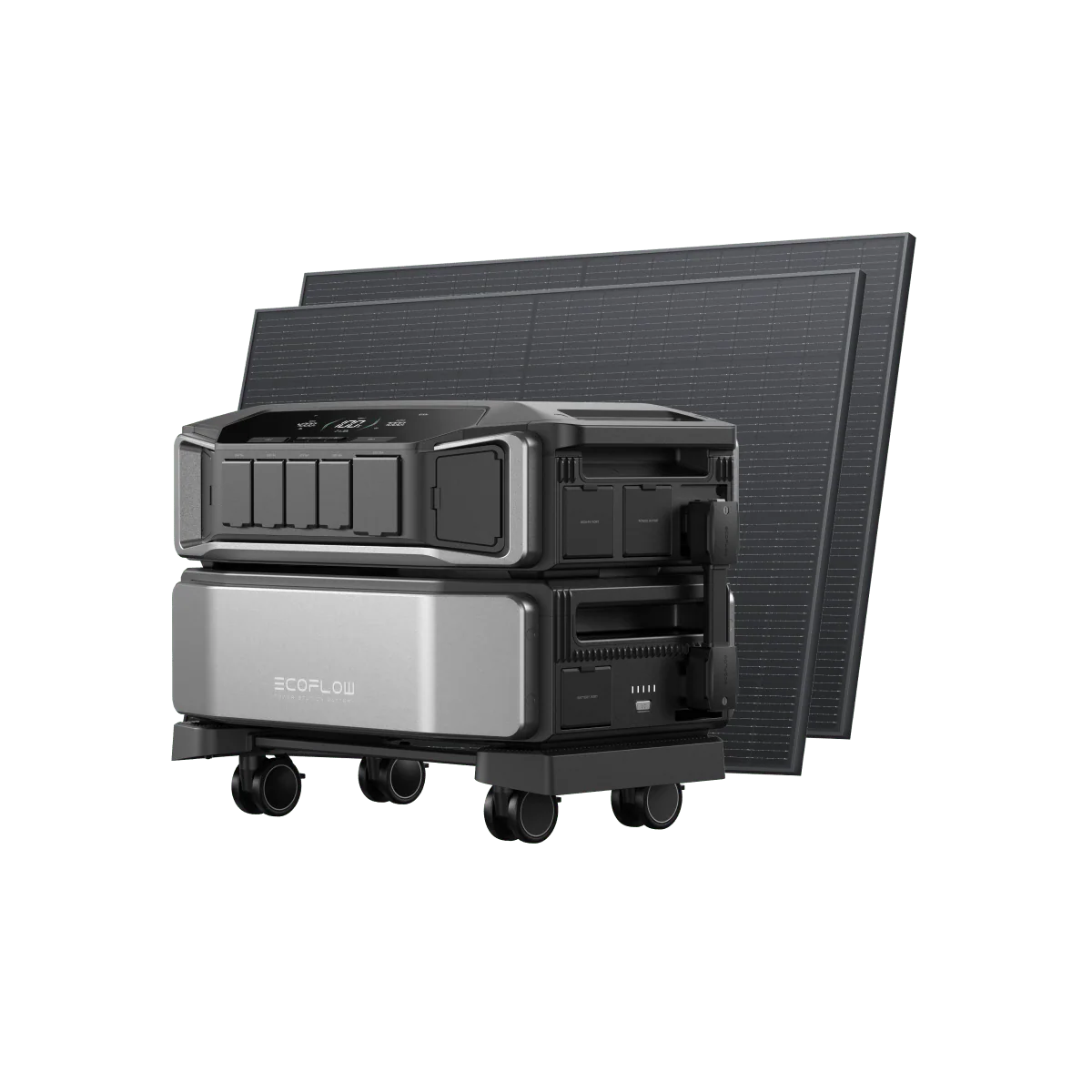 Miniatura 13