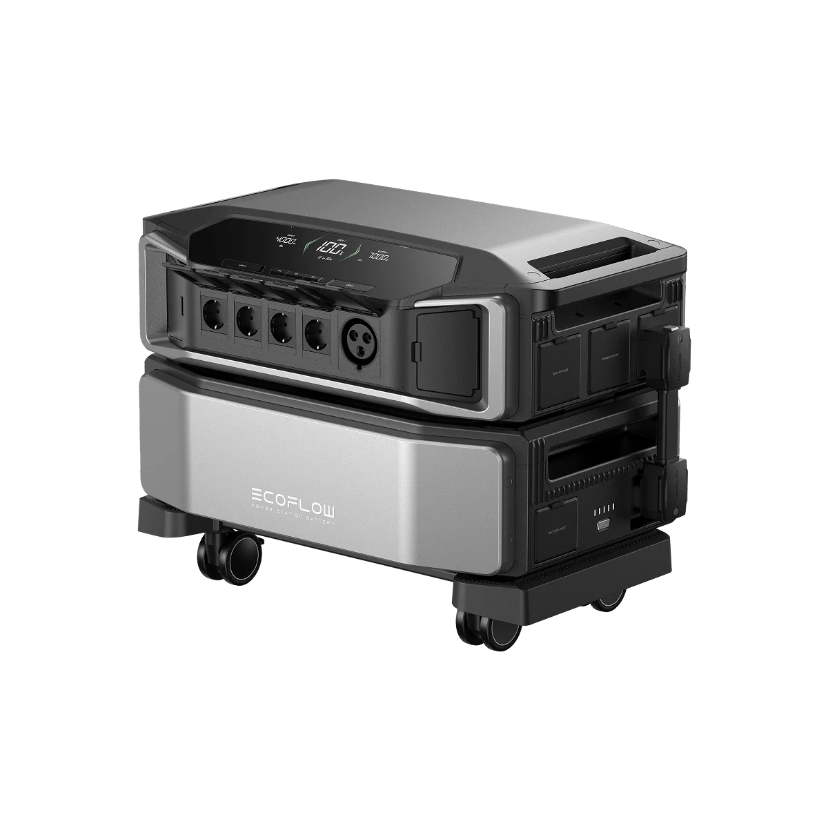 Miniatura 16