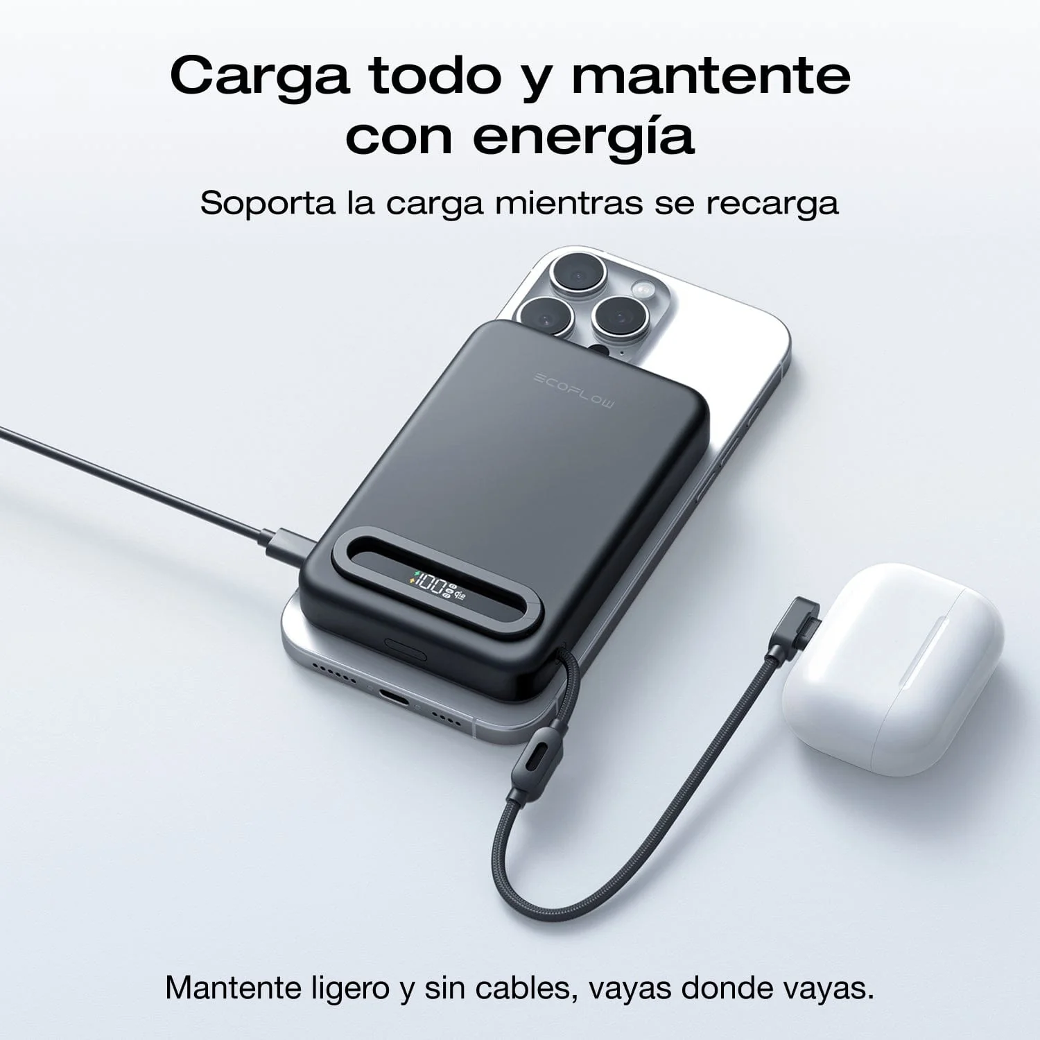 Miniatura 10