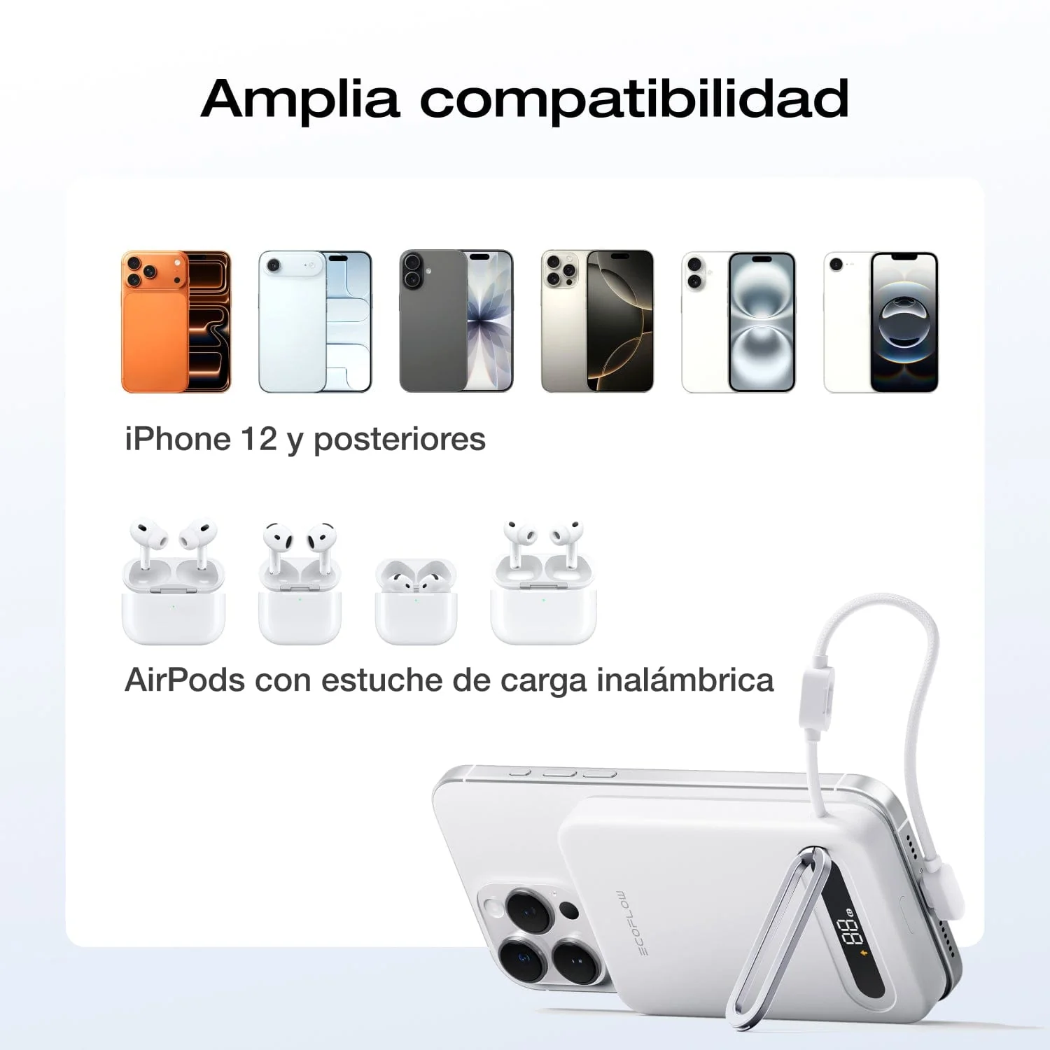 Miniatura 11